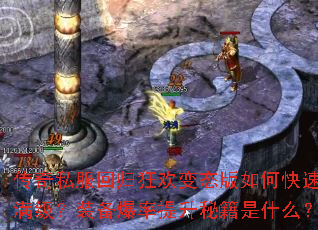 ����˽���ع�񻶱�̬����ο���������װ�����������ؼ���ʲô��