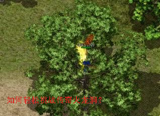 ���������ս�����������