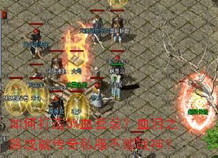 ��δ���0%Ѫ��װ��Ѫ��֮·�ɾʹ���˽������ս��