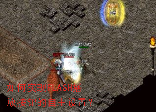 ���ʵ��FLASH���Ű�ť���������ã�