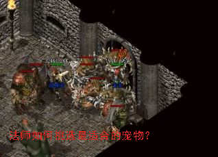 ��ʦ�����ѡ���ʺϵĳ��