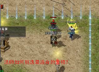 ��ʦ�����ѡ���ʺϵĳ��