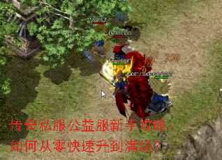 ����˽����������ֹ��ԣ���δ����������������