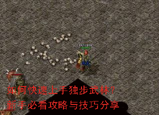 ��ο������ֶ������֣����ֱؿ������뼼�ɷ���