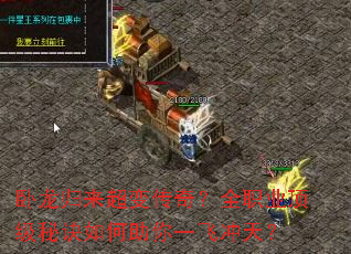 �����������䴫�棿ȫְҵ�����ؾ��������һ�ɳ��죿