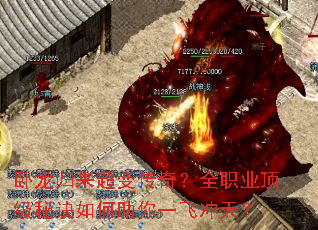 �����������䴫�棿ȫְҵ�����ؾ��������һ�ɳ��죿