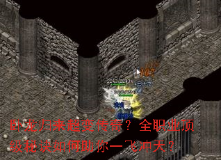 �����������䴫�棿ȫְҵ�����ؾ��������һ�ɳ��죿