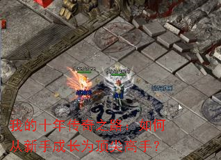 �ҵ�ʮ�괫��֮·����δ����ֳɳ�Ϊ������֣�