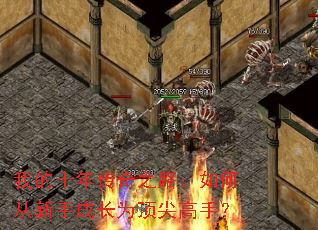 �ҵ�ʮ�괫��֮·����δ����ֳɳ�Ϊ������֣�