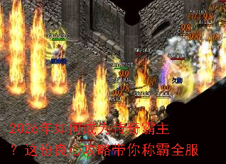 2026����γ�Ϊ���������������Ĺ��Դ���ư�ȫ��