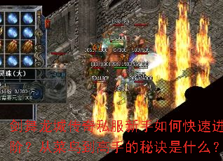 �������Ǵ���˽��������ο��ٽ��ף��Ӳ��񵽸��ֵ��ؾ���ʲô��