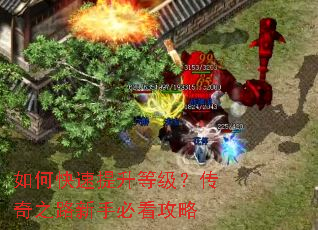 ��ο��������ȼ�������֮·���ֱؿ�����