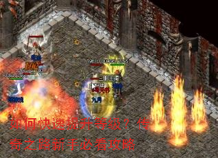 ��ο��������ȼ�������֮·���ֱؿ�����