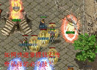 ��ο���������ʯ����˽���ı�ɱ����