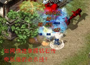 ��ο���������ʯ����˽���ı�ɱ����