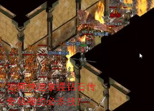 ��ο���������ʯ����˽���ı�ɱ����