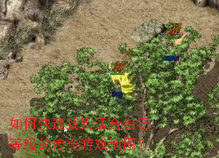 ��ο����ҵ��ʺ��Լ��ȼ��Ĵ�����Ϸ��ͼ��