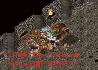 ������ο������ֺ��״��棿���������Щ���׼��ɣ�