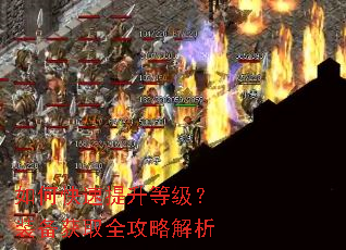 ��ο��������ȼ���װ����ȡȫ���Խ���