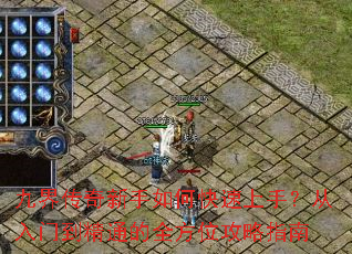 �Ž紫��������ο������֣������ŵ���ͨ��ȫ��λ����ָ��