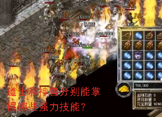 ��ʿ�����޷ֱ���������Щǿ�����ܣ�