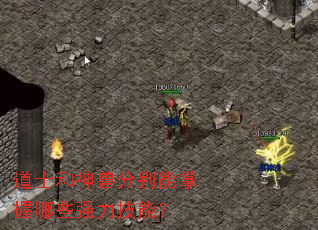 ��ʿ�����޷ֱ���������Щǿ�����ܣ�