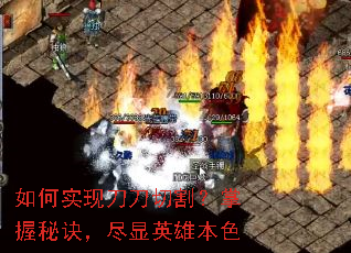 ���ʵ�ֵ����и�����ؾ�������Ӣ�۱�ɫ