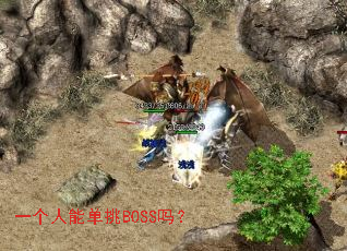 һ�����ܵ���BOSS��