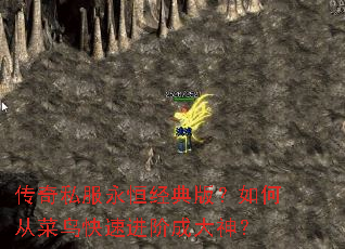 ����˽�����㾭��棿��δӲ�����ٽ��׳ɴ���