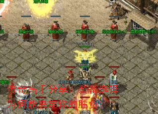 ������ַ�����װ��ѡ��Ϊ���ܾ������ʤ����