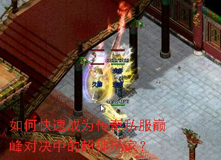 ��ο��ٳ�Ϊ����˽���۷�Ծ��еĳ�����ң�