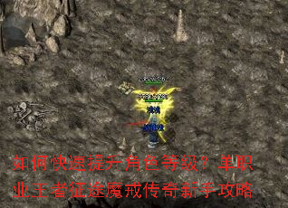 ��ο���������ɫ�ȼ�����ְҵ������;ħ�䴫�����ֹ���