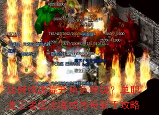 ��ο���������ɫ�ȼ�����ְҵ������;ħ�䴫�����ֹ���