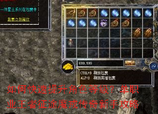 ��ο���������ɫ�ȼ�����ְҵ������;ħ�䴫�����ֹ���