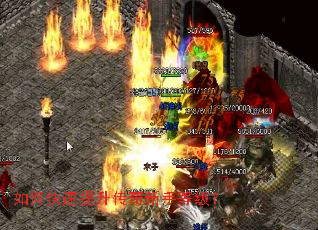 ��ο��������������ֵȼ���