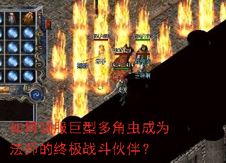 如何驯服巨型多角虫成为法师的终极战斗伙伴? 如何驯服巨型多角虫成为法师的终极战斗伙伴?