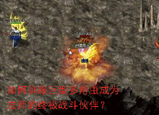 如何驯服巨型多角虫成为法师的终极战斗伙伴? 如何驯服巨型多角虫成为法师的终极战斗伙伴?