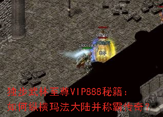 ������������VIP888�ؼ�������ݺ��귨��½���ưԴ��棿