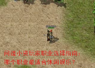 �ʵ�С�����ְҵѡ��ָ�ϣ��ĸ�ְҵ���ʺ��������֣�