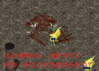 ���Ƶڳ�8781����������Ϊ����켶��ο�������ս����