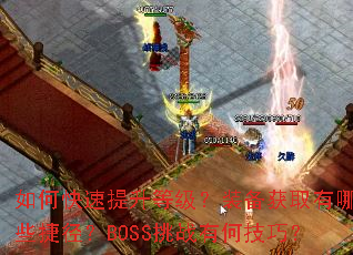 ��ο��������ȼ���װ����ȡ����Щ�ݾ���BOSS��ս�кμ��ɣ�