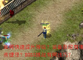 ��ο��������ȼ���װ����ȡ����Щ�ݾ���BOSS��ս�кμ��ɣ�