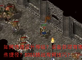 ��ο��������ȼ���װ����ȡ����Щ�ݾ���BOSS��ս�кμ��ɣ�