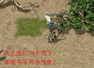 ҩ��ׯ6774�����������д������棿