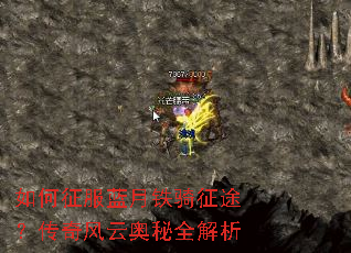 �����������������;��������ư���ȫ����