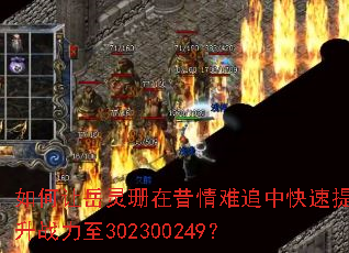 ���������ɺ��������׷�п�������ս����302300249��