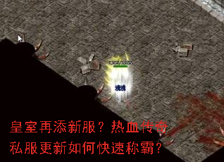 ���������·�����Ѫ����˽��������ο��ٳưԣ�