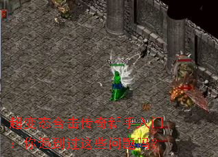 ����̬�ϻ������������ţ�����������Щ������