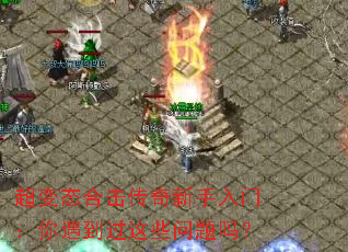 ����̬�ϻ������������ţ�����������Щ������