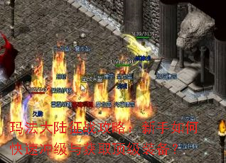 �귨��½��ս���ԣ�������ο��ٳ弶���ȡ����װ����